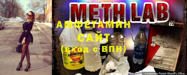 ПСИЛОЦИБИНОВЫЕ ГРИБЫ Алзамай
