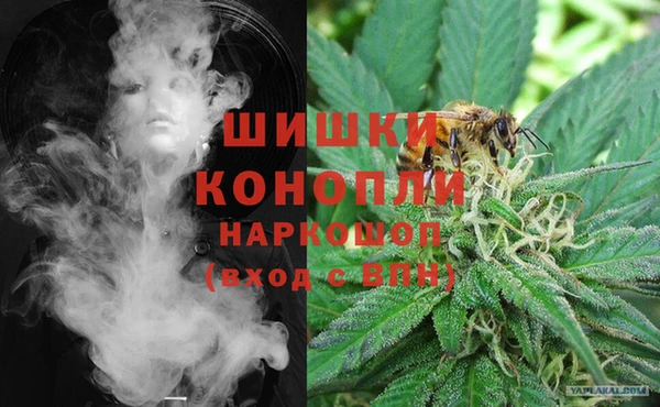 бошки Алексин