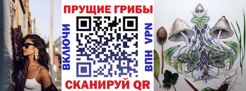 где продают наркотики гидра рабочий сайт Псилоцибиновые грибы GOLDEN TEACHER Красногорск
